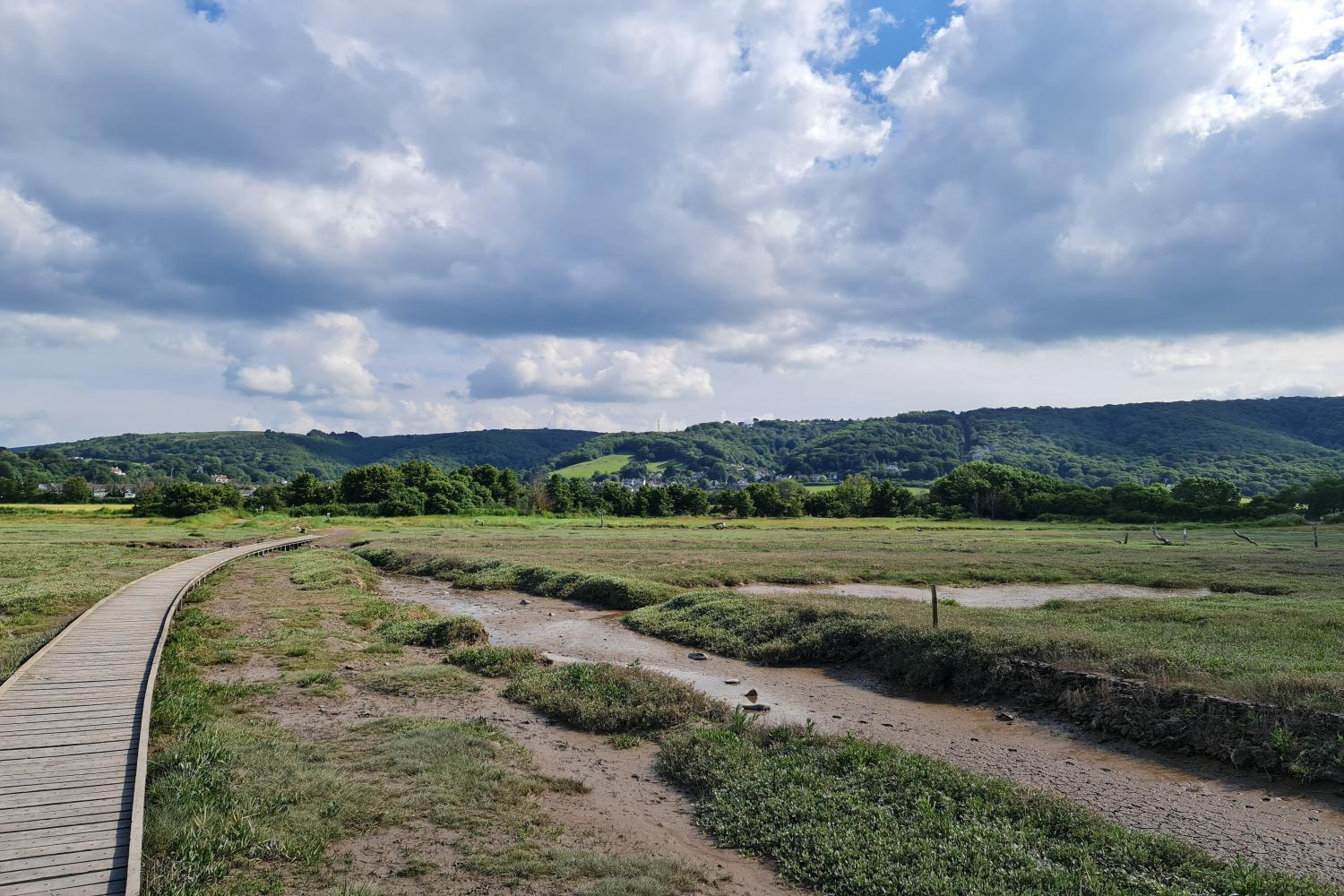 Porlock Marsh