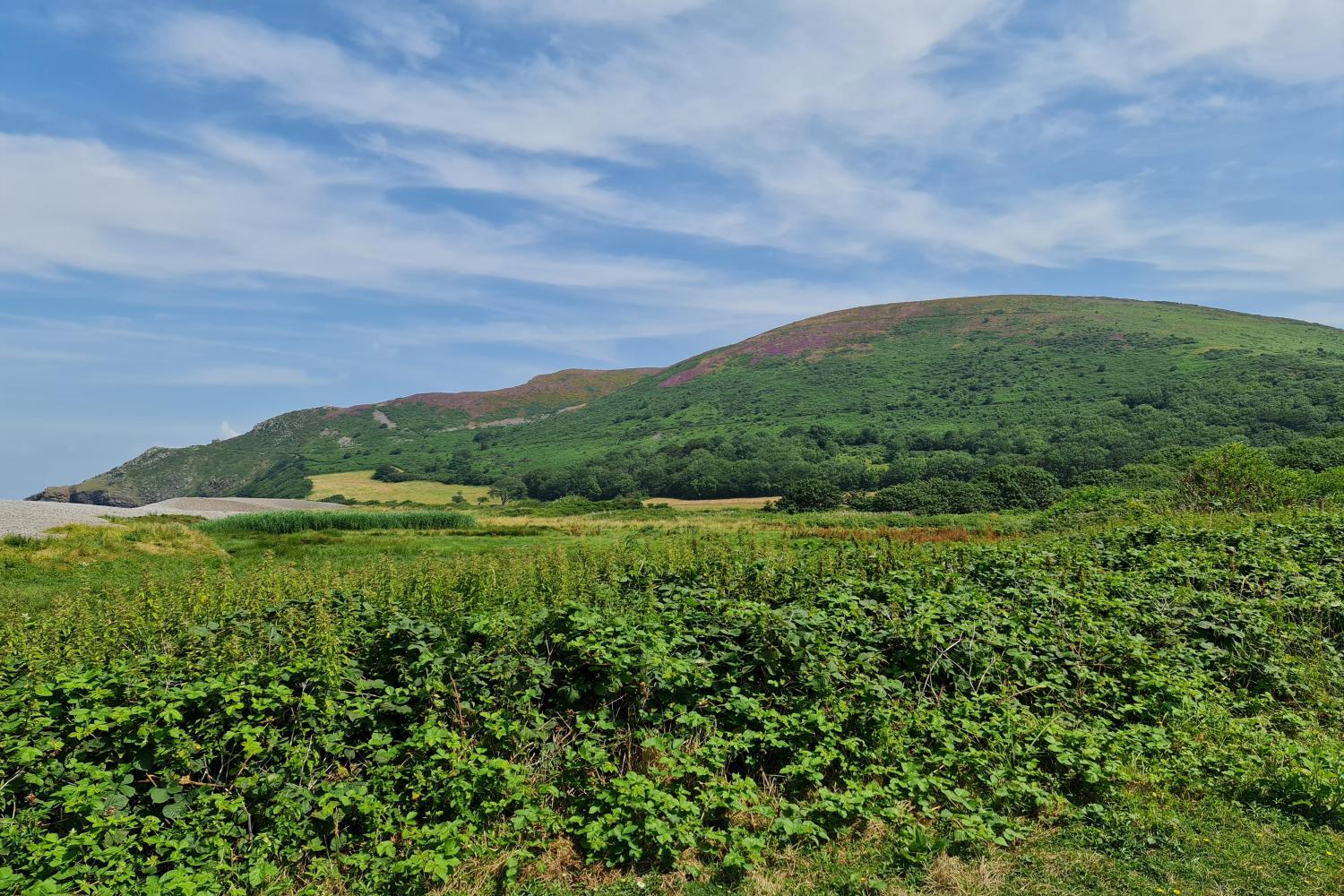 Porlock marsh