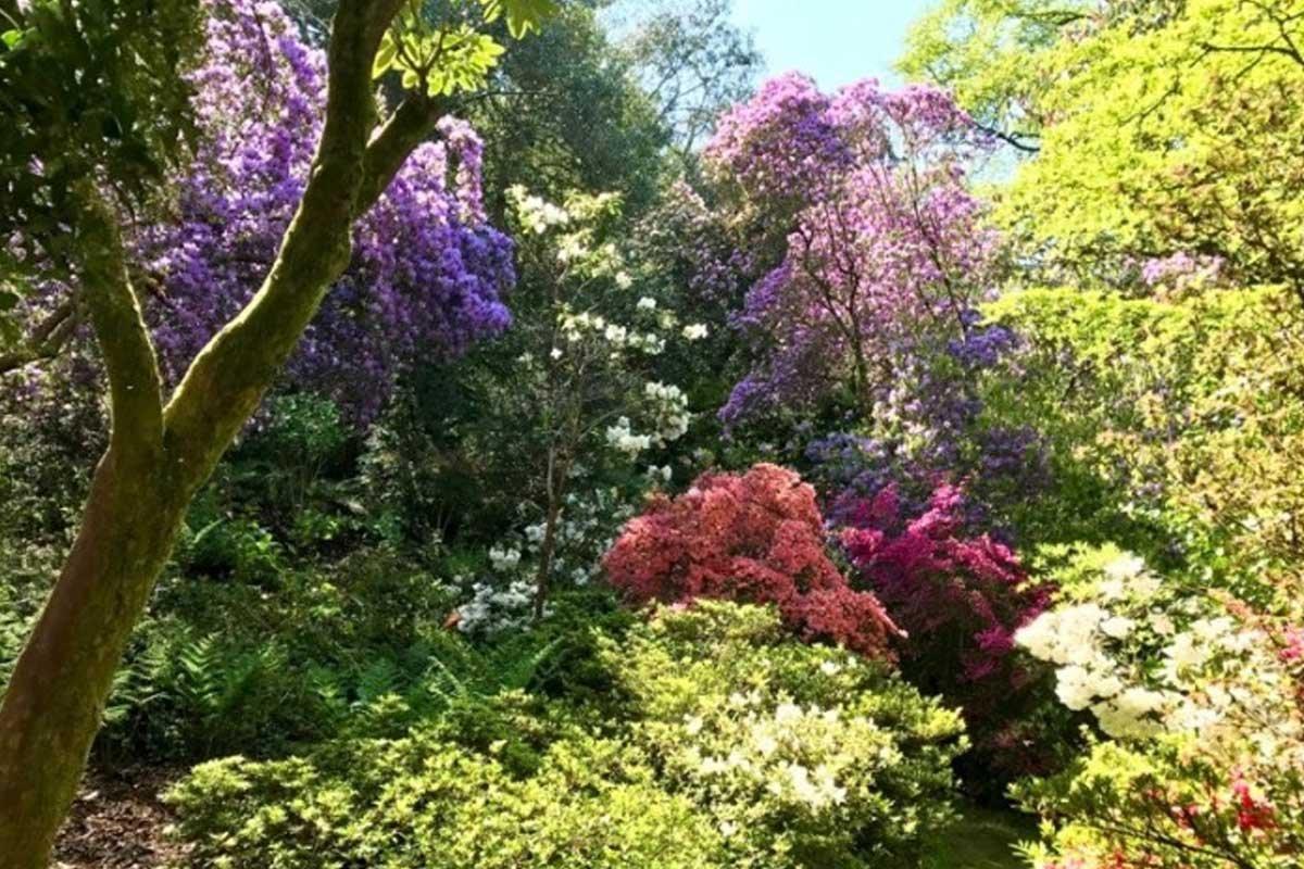 Greencombe Gardens, Porlock