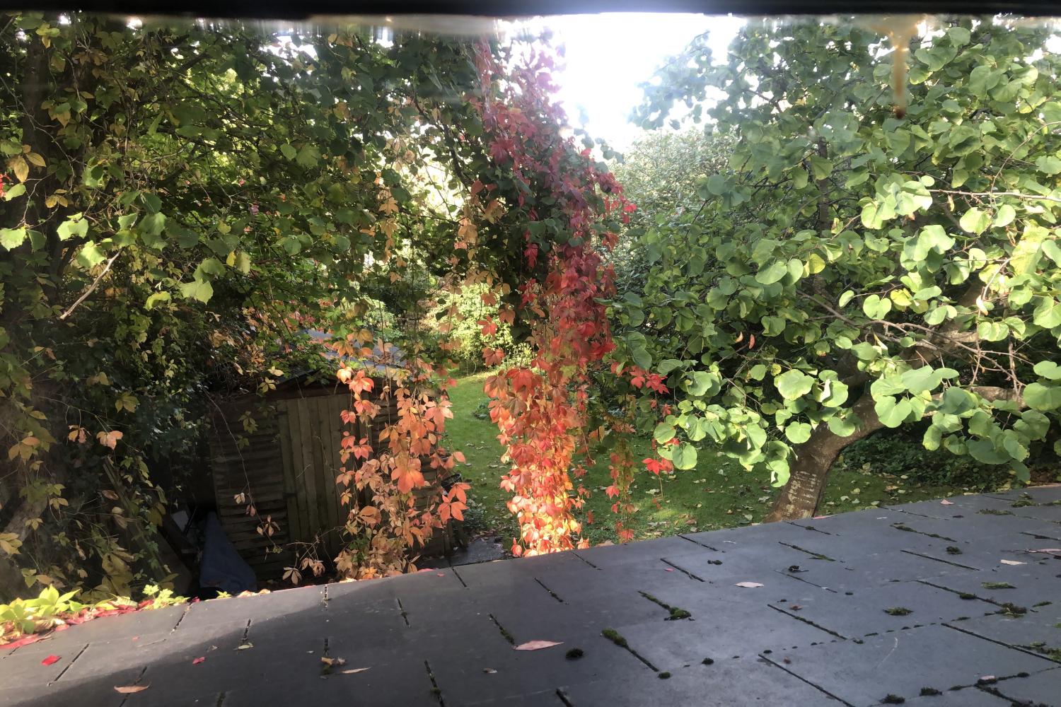 View down the garden in Autumn