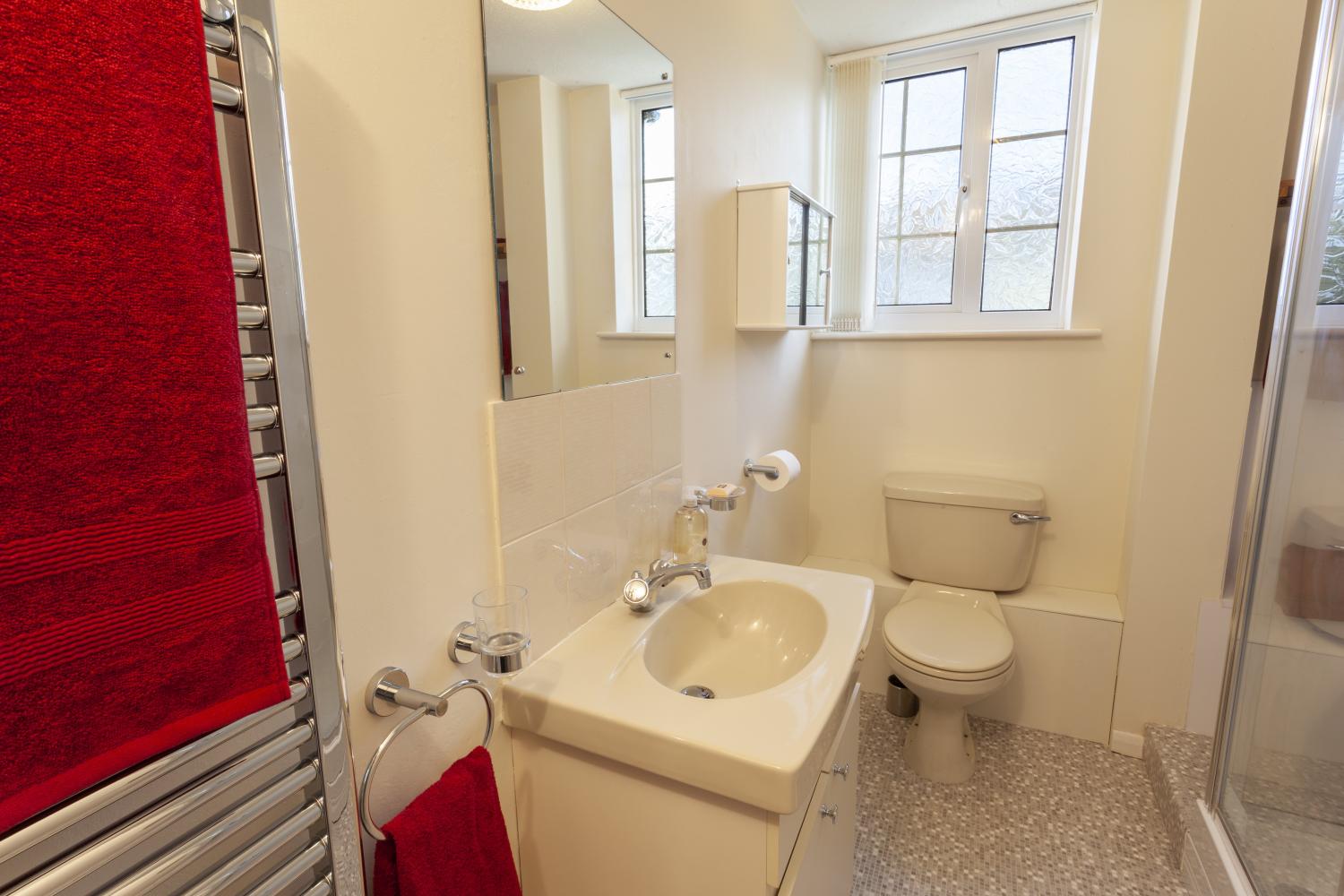 Shower room with electric towel radiator