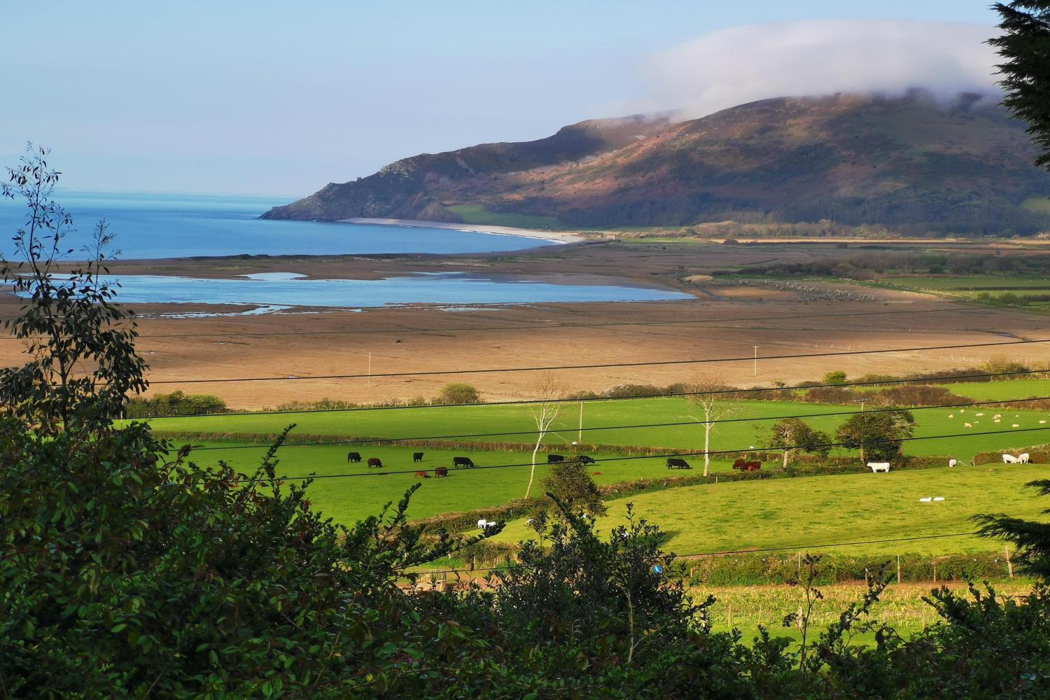 The ever-changing view of the marsh from The Gapperies window