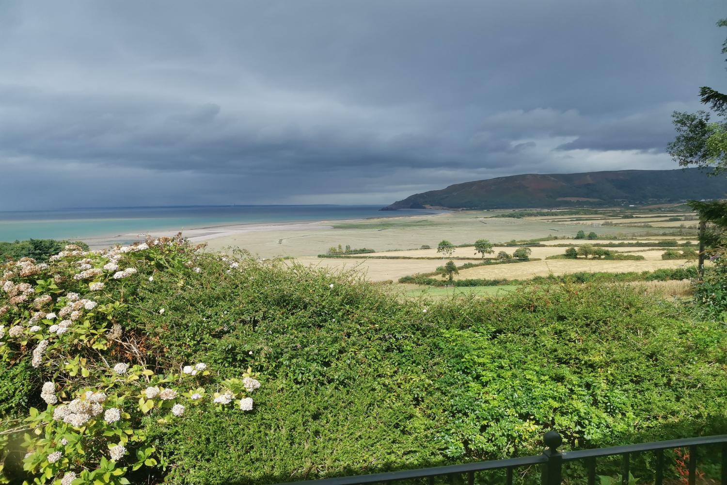 The ever-changing view of the marsh from the window...