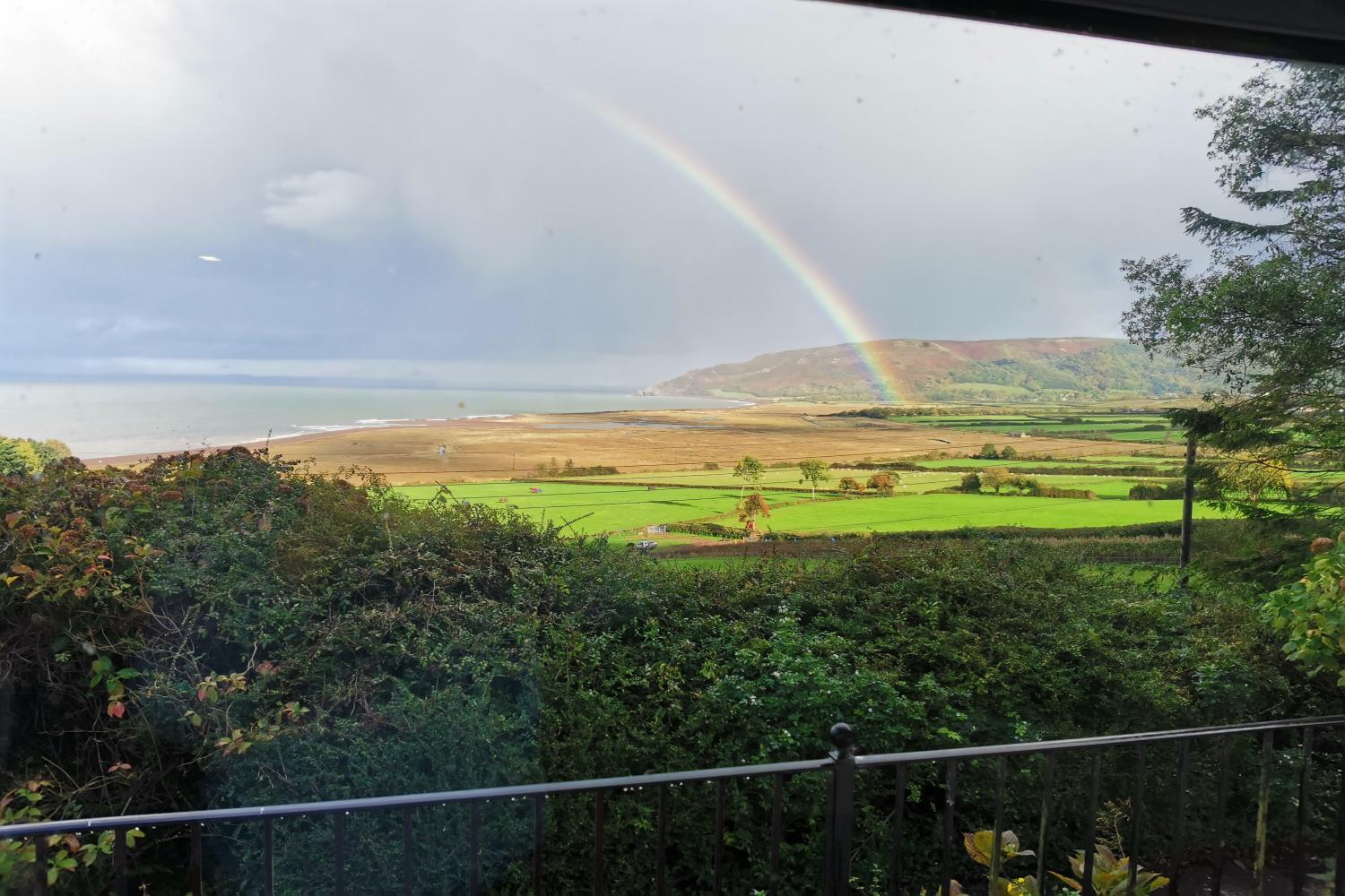 The ever-changing view of the marsh from the window...