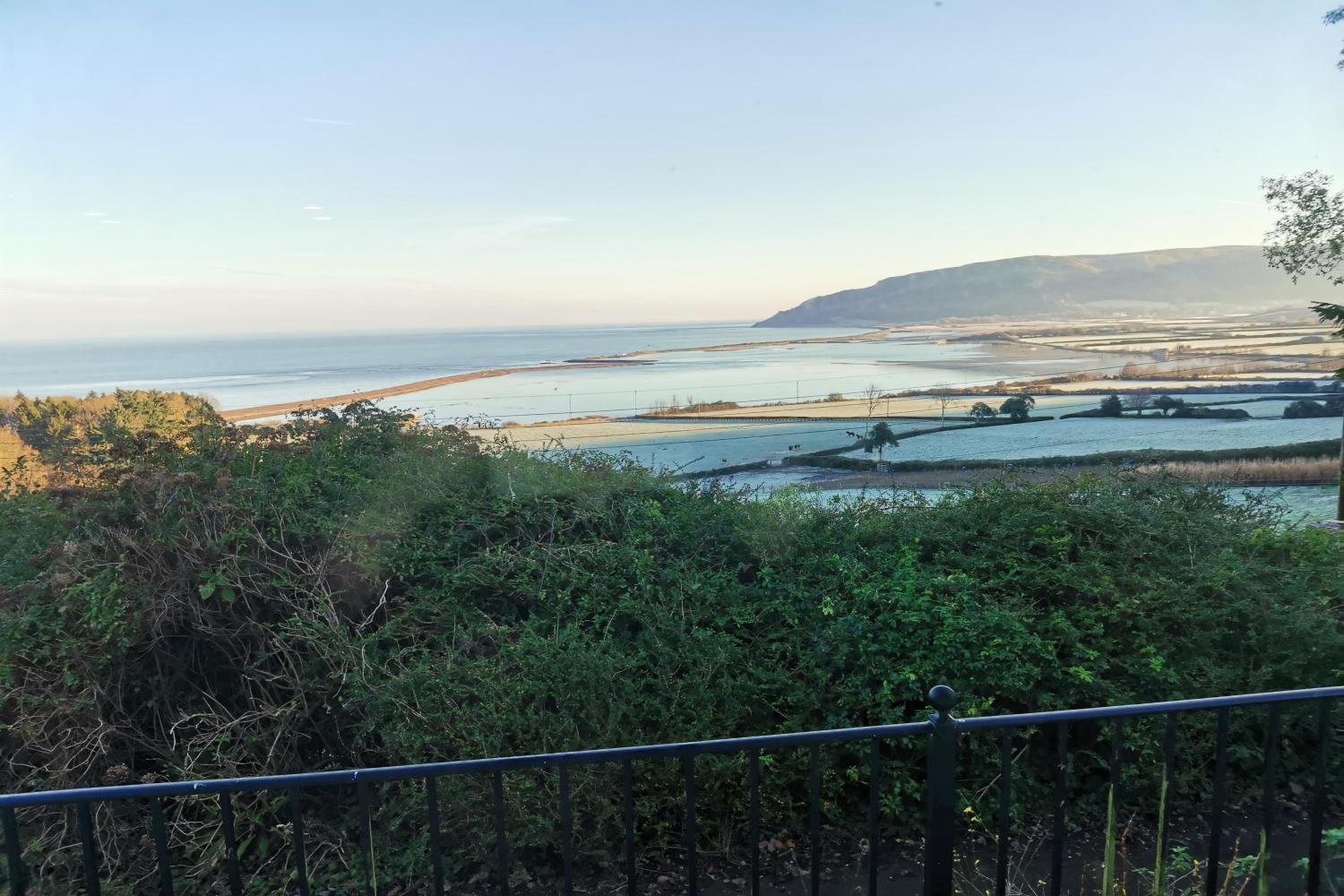 The ever-changing view of the marsh from the window...