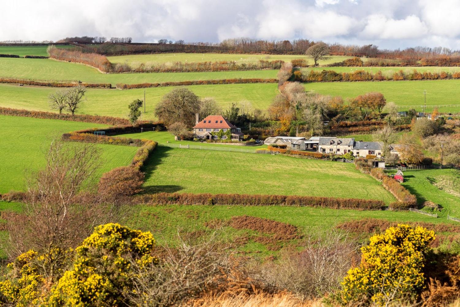 West Hollowcombe Farm & Cottages from above