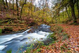 West Hollowcombe private river