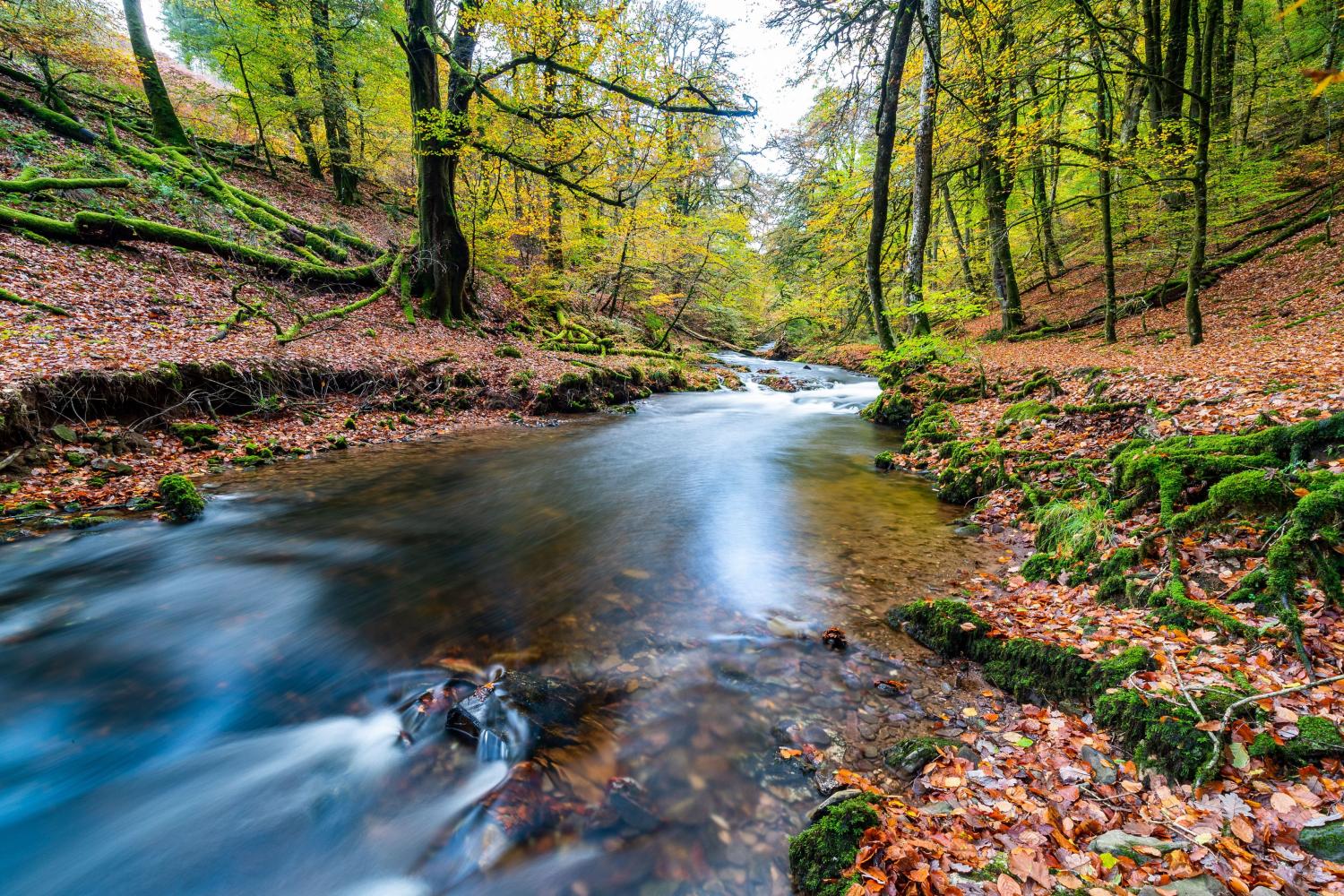 Private river at West Hollowcombe