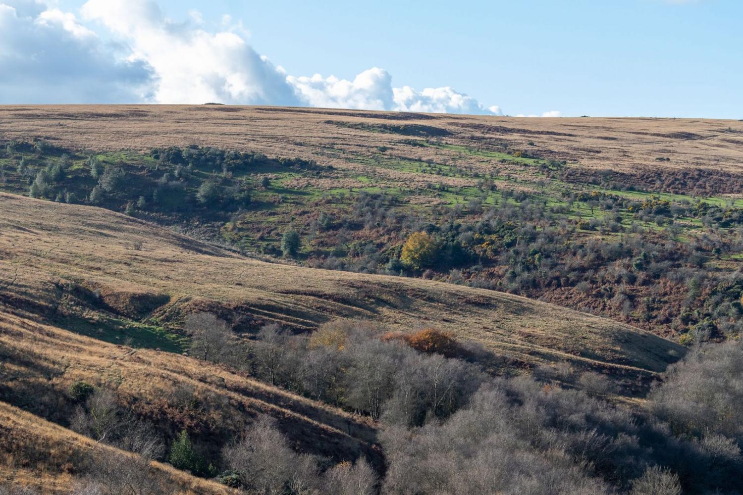 View of Molland Moor from West Hollowcombe