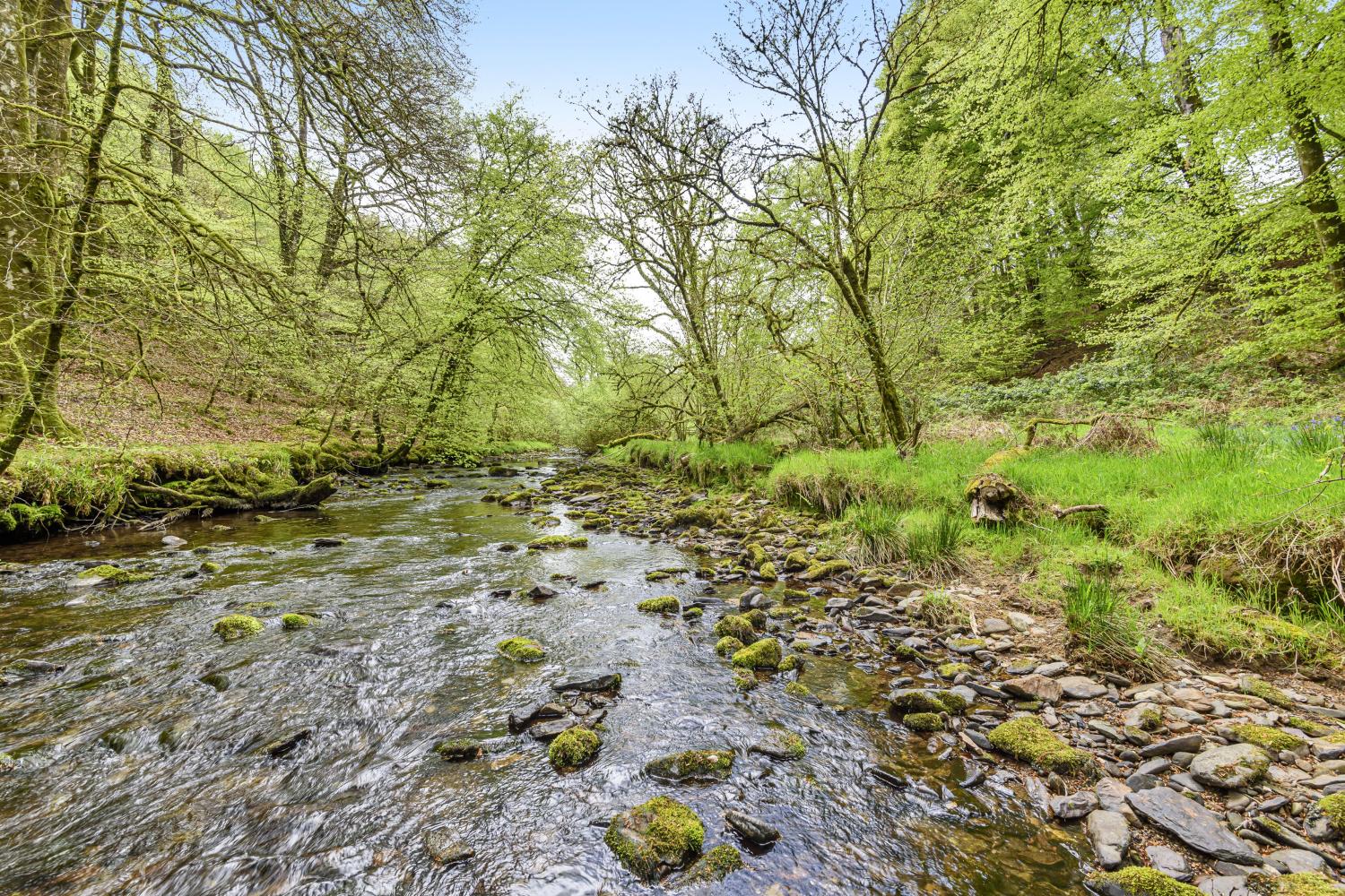 Private river at West Hollowcombe