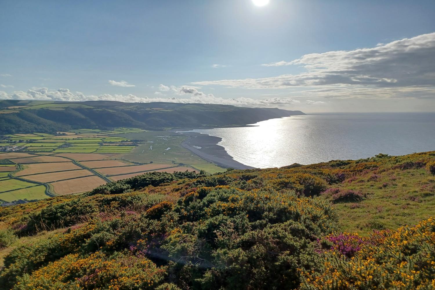 Porlock Vale from Bossington Hill