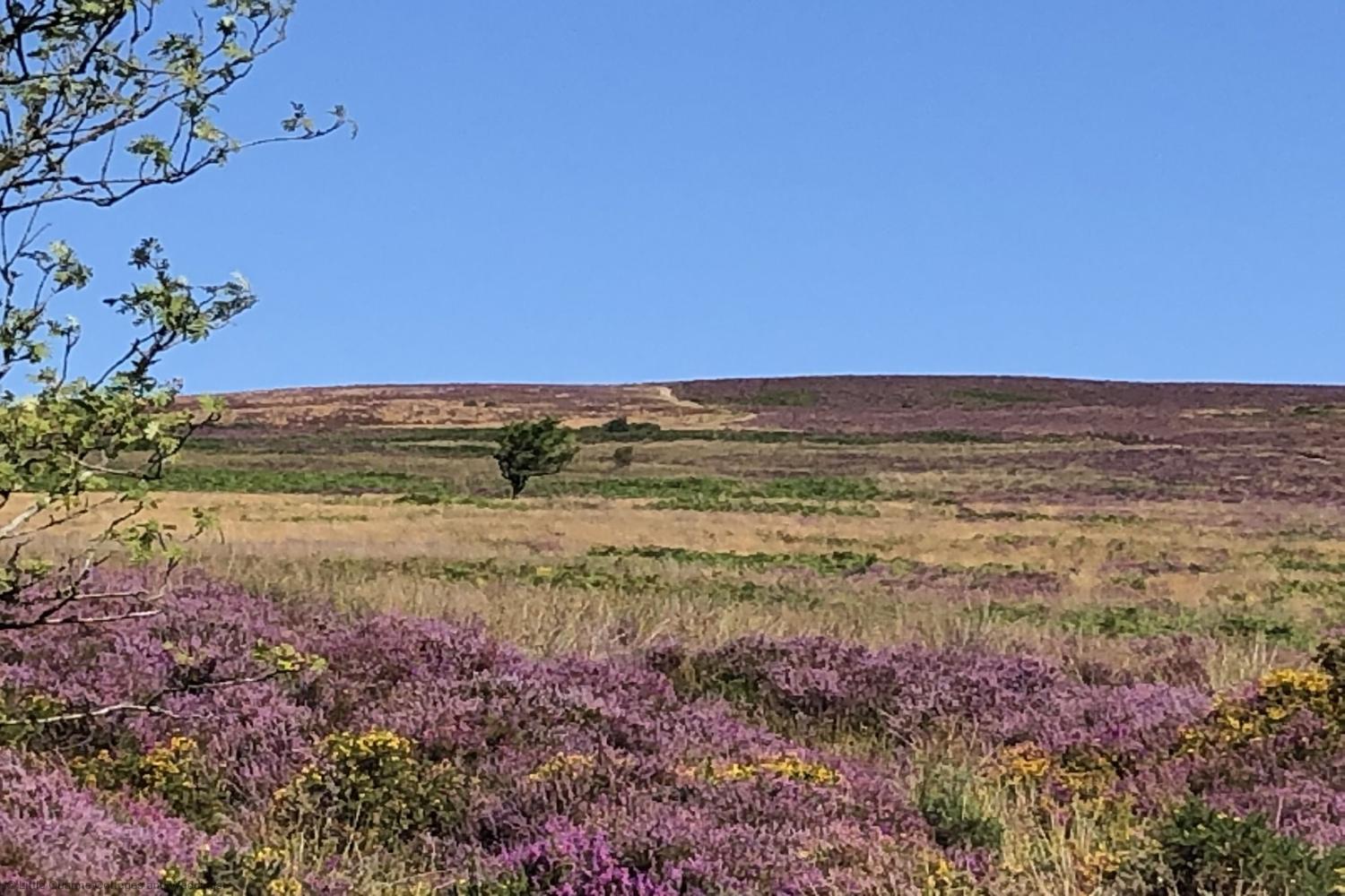 Dunkery Beacon