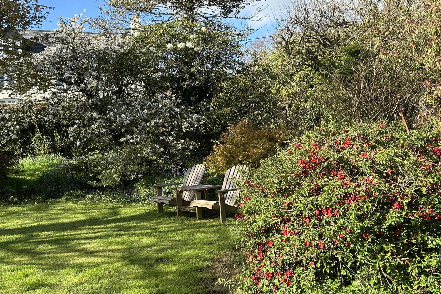 Garden - lawn area
