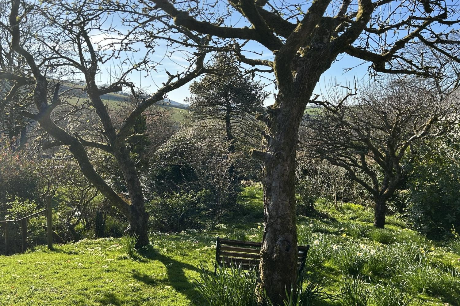Garden - orchard