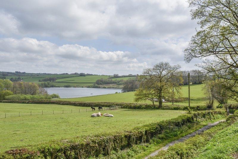 View from Broomy Barn
